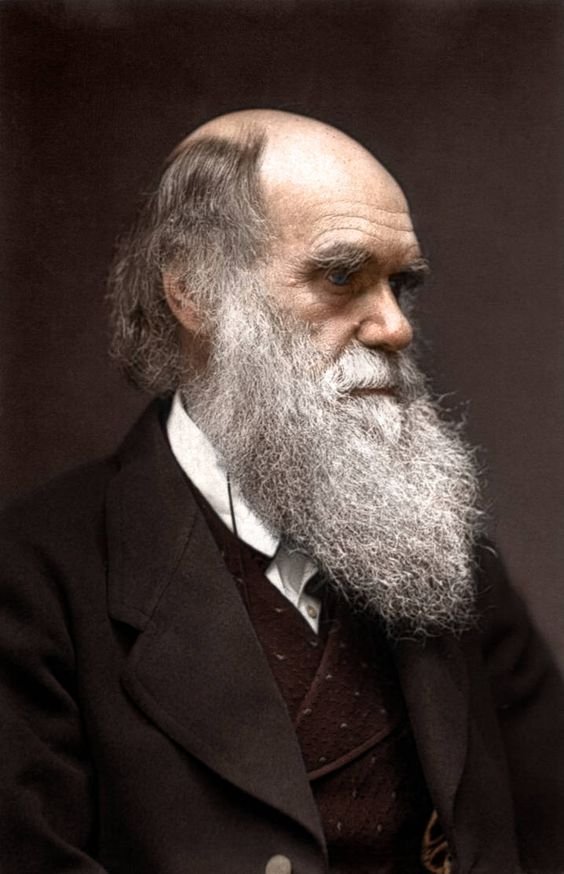 Charles Darwin's Portrait